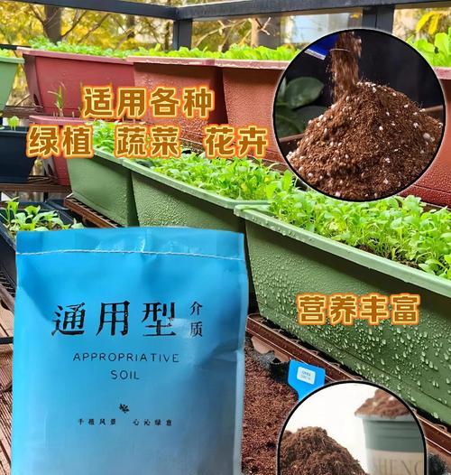 草炭土有什么用？草炭土在园艺中的应用是什么？