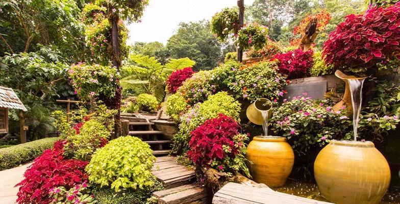 庭院花草种植建议：哪些花草最适合庭院？