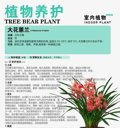花卉浇水的最佳时间是什么时候？