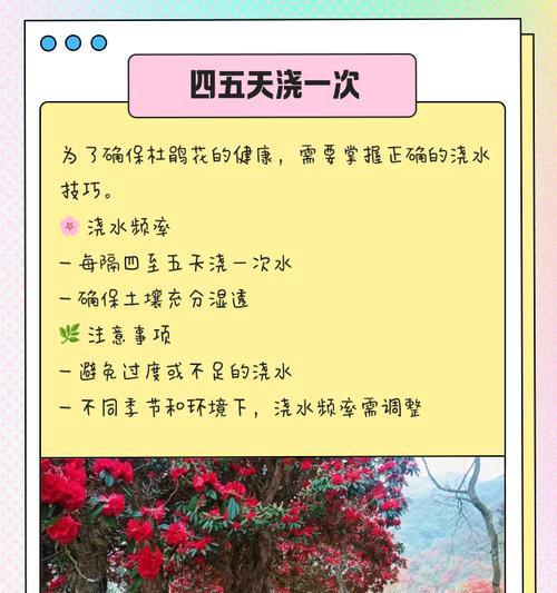 花卉浇水的最佳时间是什么时候？