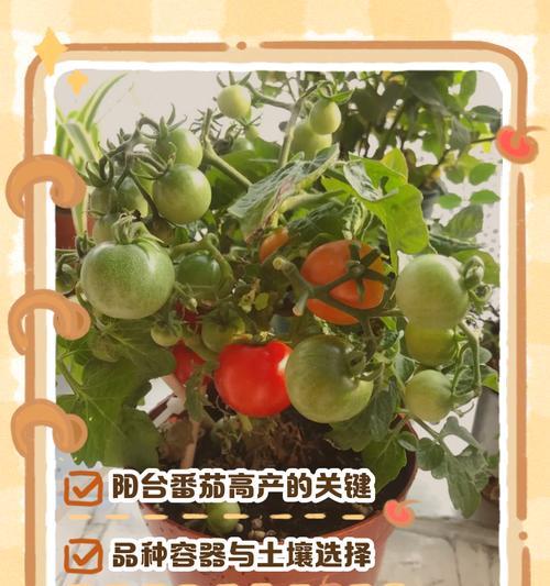 盆栽植物种植和养护的秘诀是什么？