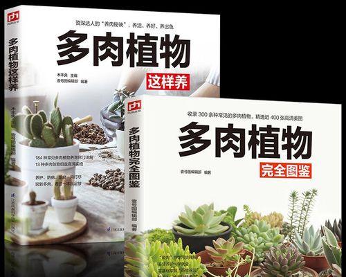 盆栽植物种植和养护的秘诀是什么？