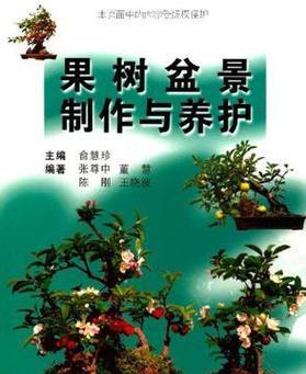 果盆栽修剪的最佳时间和方法是什么？