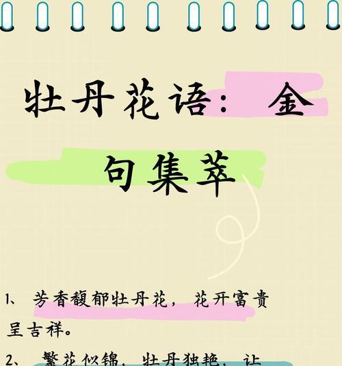 秋季有哪些花盛开？它们的花语和养护方法是什么？