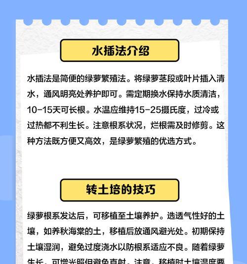 绿萝叶子繁殖的正确步骤和技巧是什么？