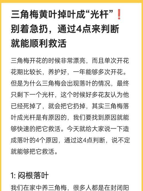 花卉叶子变黄的原因及解决方法是什么？