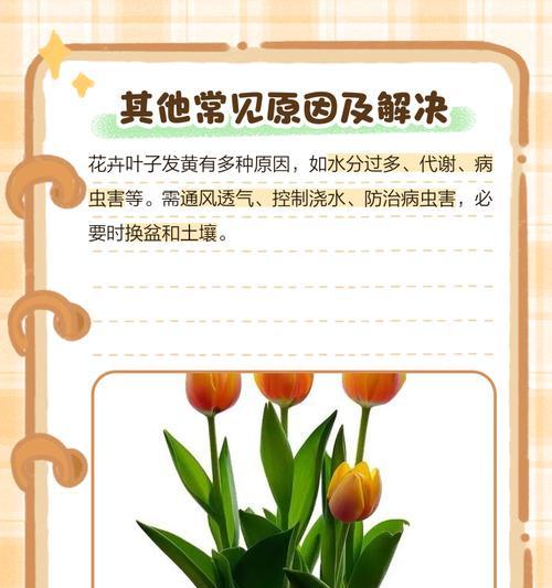 花卉叶子变黄的原因及解决方法是什么？