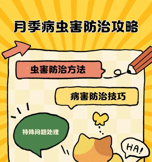 月季长虫怎么处理？防治虫害的有效方法是什么？