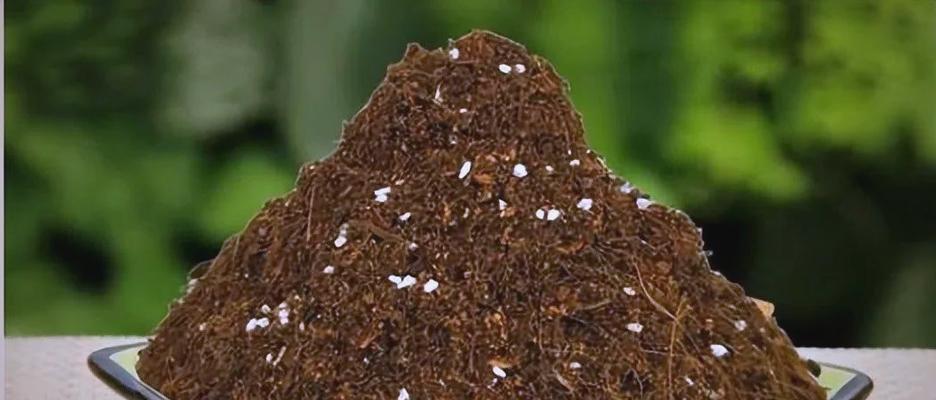 松针土的制作方法有哪些？它对植物生长有何益处？