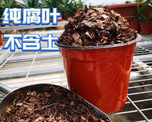 松针土的制作方法有哪些？它对植物生长有何益处？
