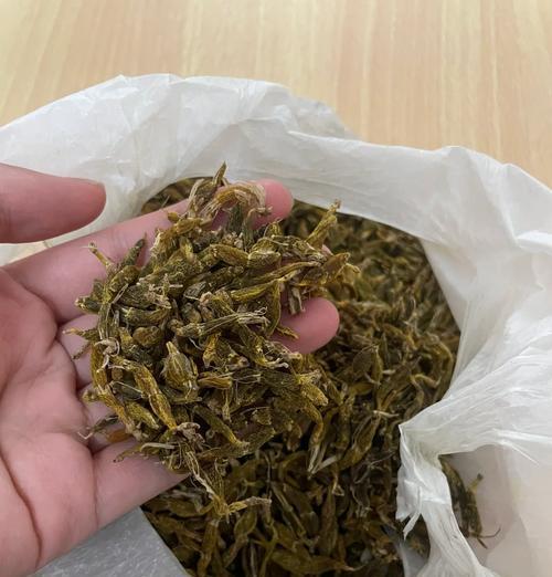 金钗石斛的养殖条件是什么？如何进行有效繁殖？