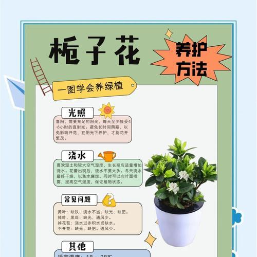 枝之花的养殖方法和注意事项是什么？