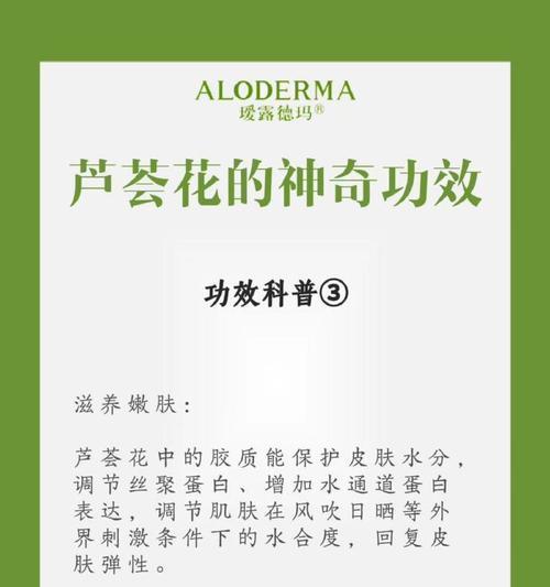芦荟的花是怎么使用？芦荟花的美容与药用价值是什么？