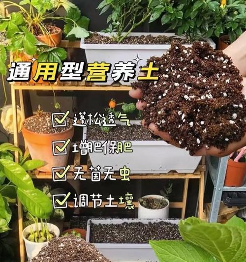 如何正确配制种花营养土？
