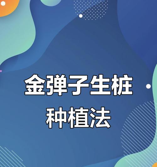 金弹子种植步骤是什么？