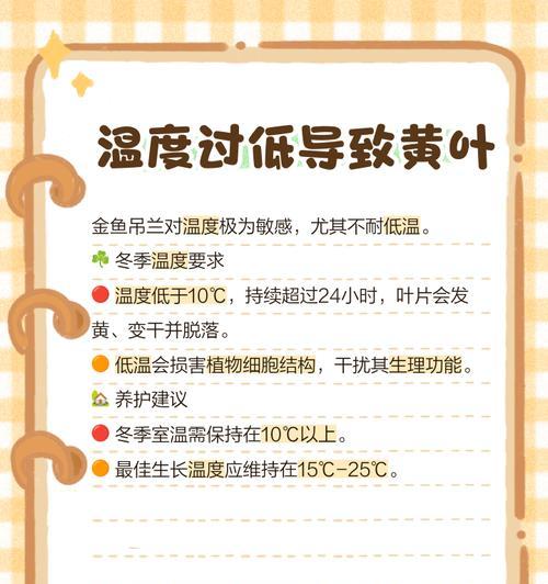 吊兰叶子发黄的原因是什么？如何进行有效处理？
