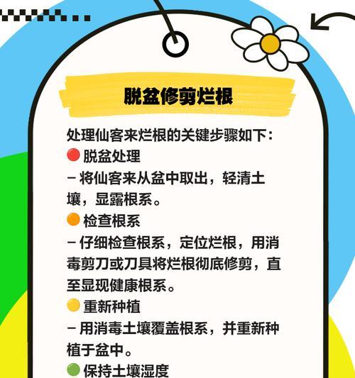 花的根部完全烂了怎么办？烂根后的挽救措施有哪些？