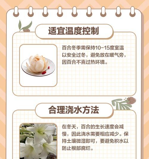百合花的养护方法是什么？有哪些常见问题？