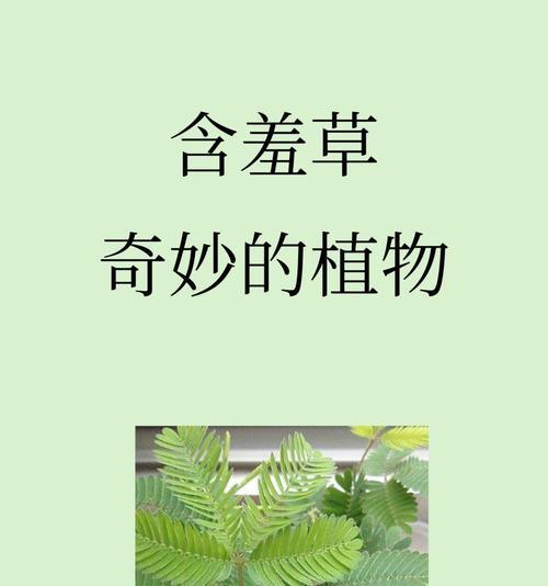 含羞草为什么会“害羞”？它的这种特性是如何形成的？