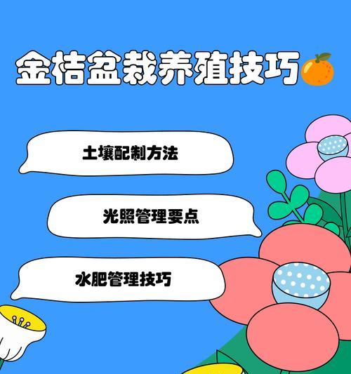 盆栽金桔树施肥方法是什么？如何正确施肥？