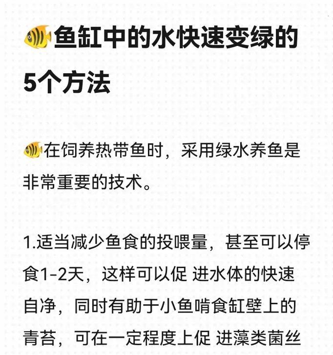 水培植物里养鱼的方法是什么？需要注意哪些问题？