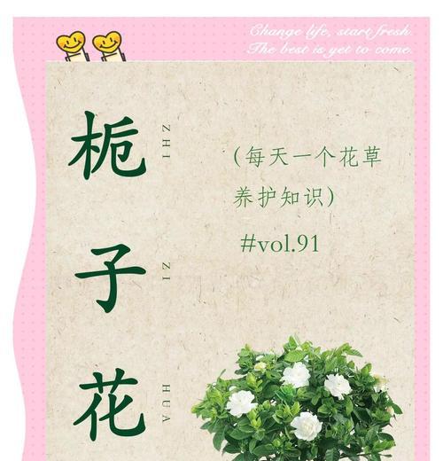 栀子花冬季如何养护？怎样安全过冬？
