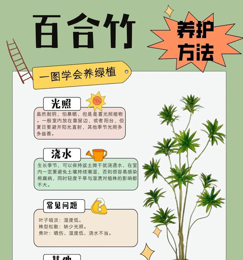观赏竹子的正确养护方式？如何保持其美观？