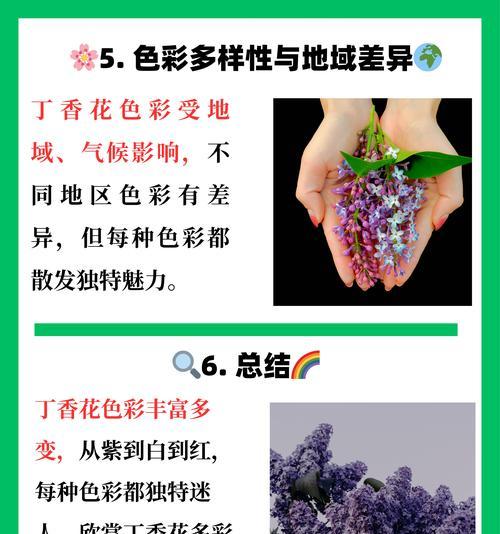 丁香树的养殖方法和注意事项是什么？