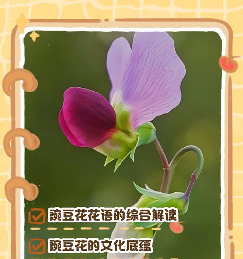 平安树分枝操作步骤详解？