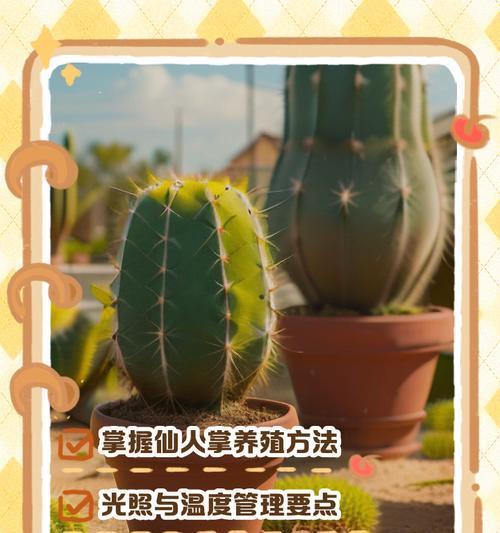 仙人掌适合使用什么肥料？施肥技巧有哪些？