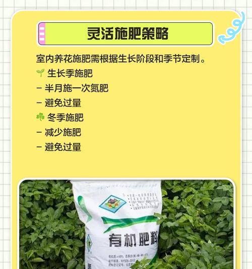 仙人掌适合使用什么肥料？施肥技巧有哪些？