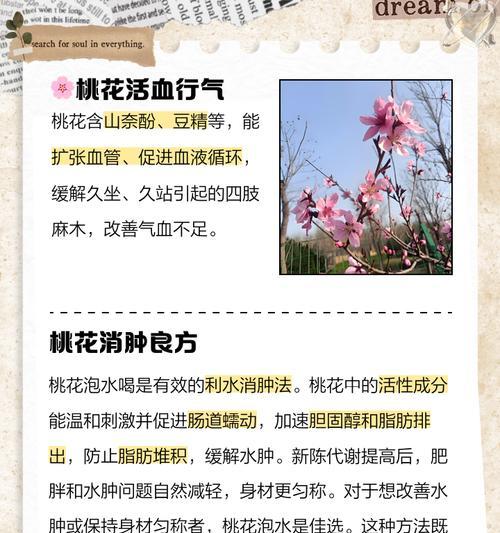 桃花的养殖方法和管理技巧是什么？