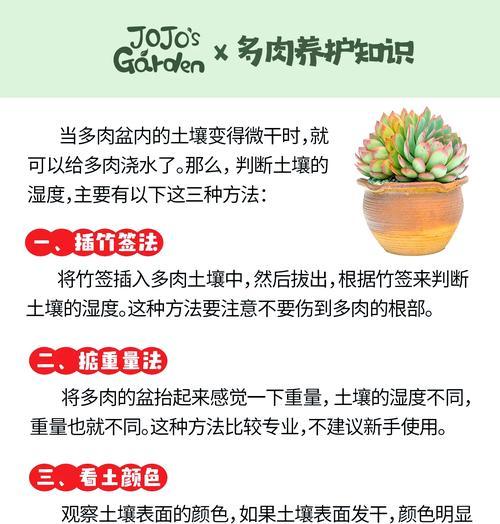 盆栽浇水的最佳时间和技巧是什么？