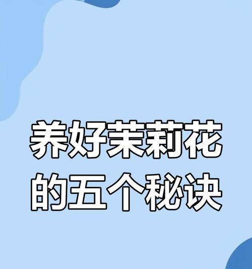 茉莉怎么养才长得好？茉莉养护的秘诀是什么？