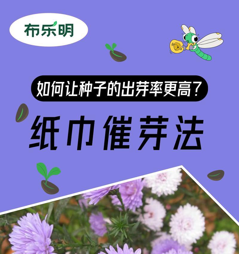 玫瑰种子的播种方法是什么？怎样提高发芽率？