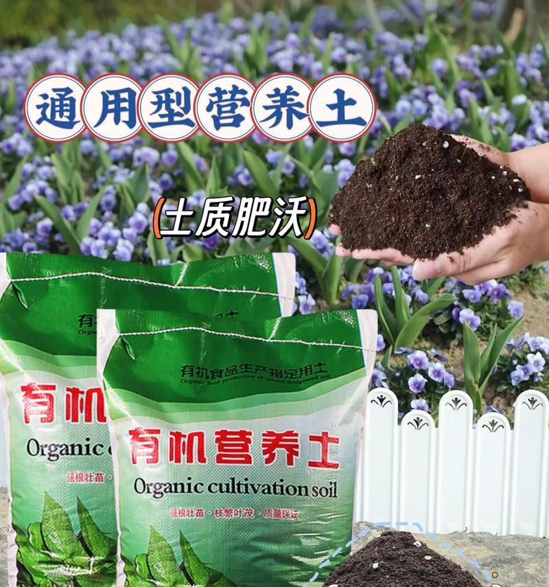 盆栽植物适合用什么土壤？如何为盆栽选择合适的土壤？