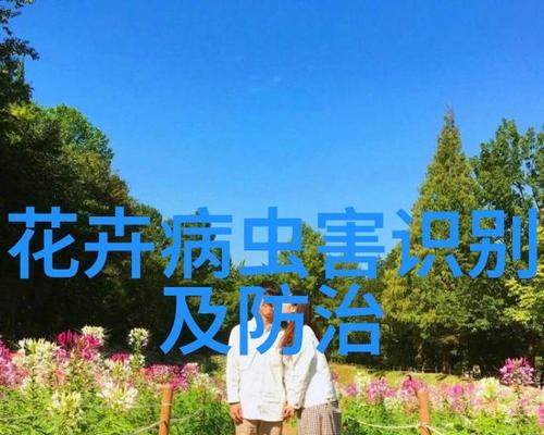 花土消毒的正确方法是什么？预防病虫害！