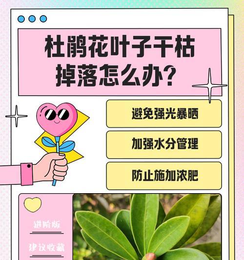 枯萎花卉的拯救方法？如何让枯萎的花恢复生机？
