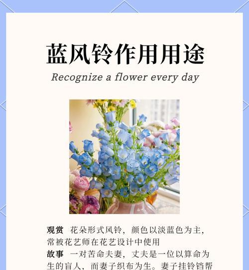兰铃花的养殖方法和注意事项是什么？