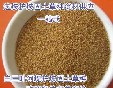三叶草的种植方法是什么？
