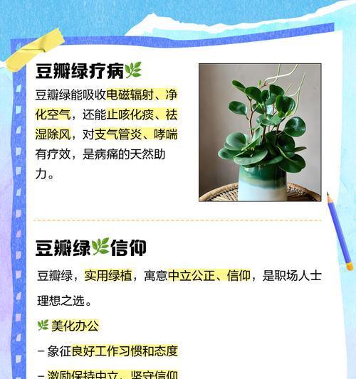 豆瓣绿换盆的最佳时机是什么时候？换盆步骤详解？