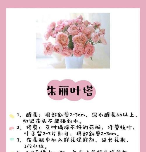 初恋开花怎么处理？开花后的养护技巧是什么？
