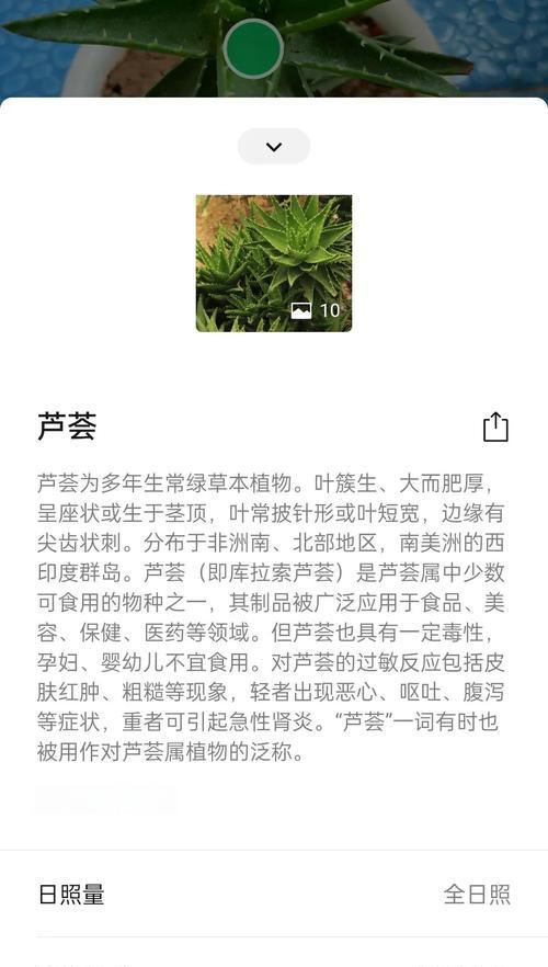 可食用的芦荟有哪些种类？芦荟食用的安全指南是什么？