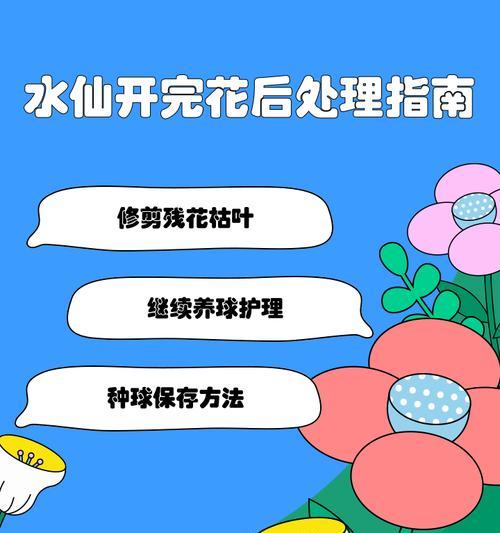 水仙枯萎后的挽救措施是什么？