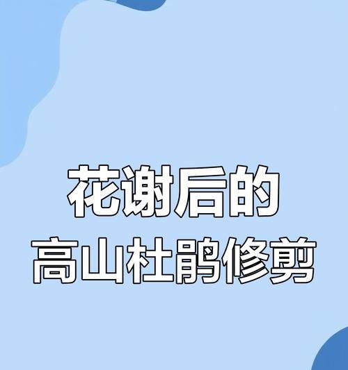 杜鹃花修剪的最佳时机和方法？