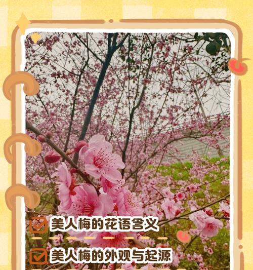 梅花的花语和象征意义是什么？它在中国文化中扮演什么角色？