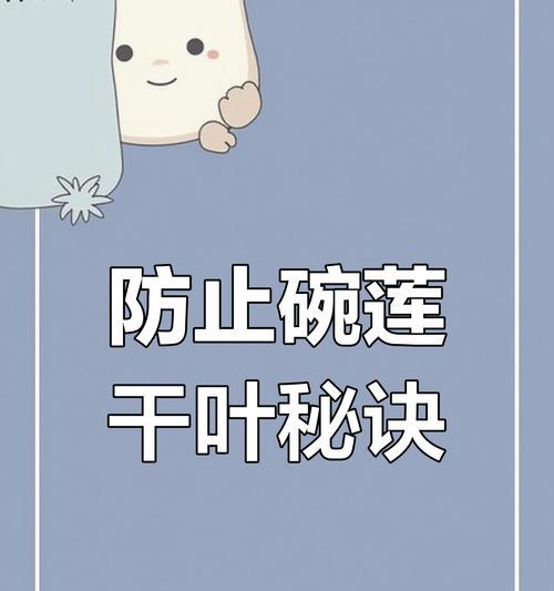 碗莲定植步骤和注意事项是什么？