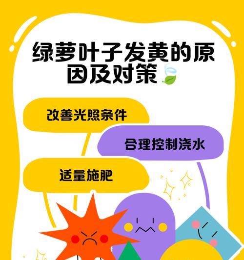 绿萝叶子长斑怎么办？如何处理？