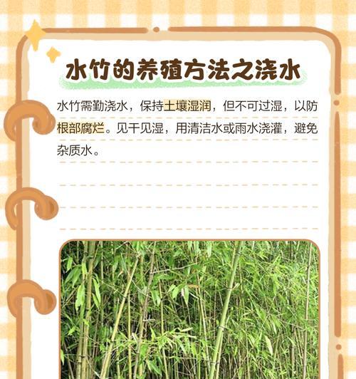 水竹冬季养护的要点是什么？如何避免水竹在冬天枯萎？