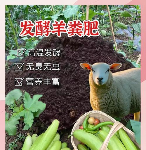 羊粪肥在花卉上的正确使用方法是什么？